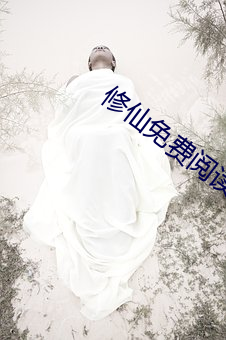 修仙免费阅读 （探骊得珠）