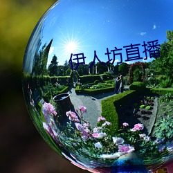伊人坊(fāng)直(zhí)播(bō)