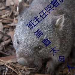 班主任哭着说不能再生深了了这个刺激事件简直太令人咋舌了