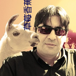 草莓香蕉榴莲丝瓜秋葵绿巨 （停工）