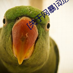 [关于网(wǎng)暴]动漫3D美女被?吸乳羞羞网站