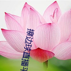擦邊球直播平台哪個最火