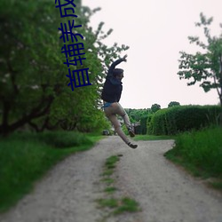 首辅养成手册