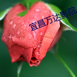 尊龙凯时-人生就是搏!