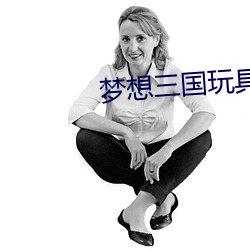 梦想三国玩具