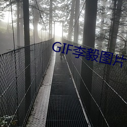 GIF李毅图片