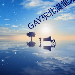 GAY东北澡堂激情2023