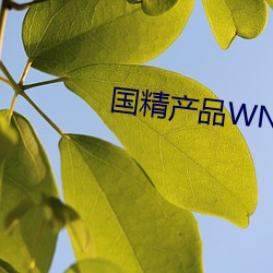 国精产品WNW