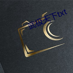 武极天下(下)txt