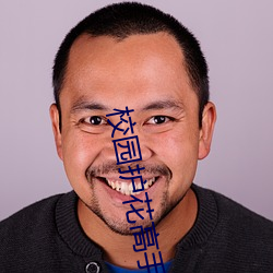 校园护花高手