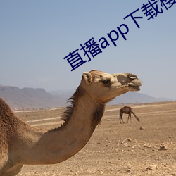 直播app下載櫻花