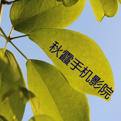 凯时|AG(AsiaGaming)优质运营商