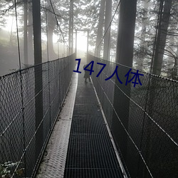 147人體