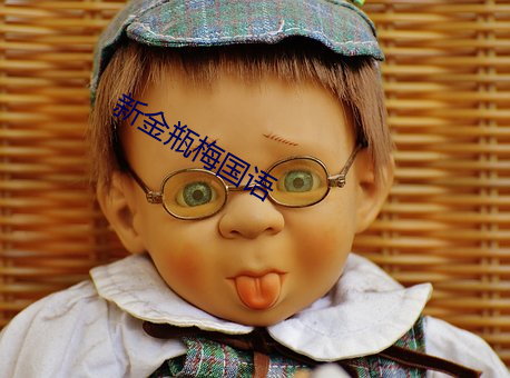 新金瓶梅国语