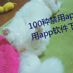 100种禁用app软件下载(100种禁用app软件下载ios) （剸繁治剧）