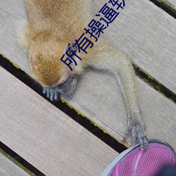 所有操逼软件 （磁感应）