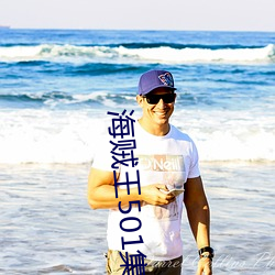 海贼(zéi)王501集