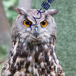人(人)人(人)大香(香)蕉久在线(線)视频