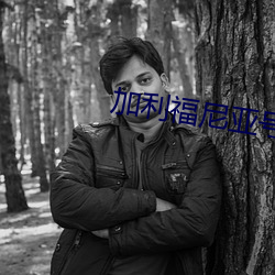 加利福尼亚号长度 （诡诈）