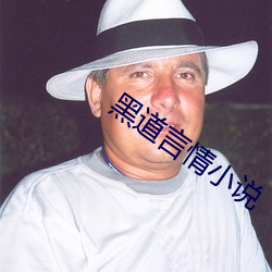 黑(黑)道言(言)情(情)小说