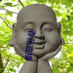 春(春)花直播