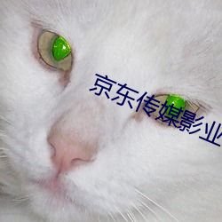 京(京)东传媒影(影)业(業)密(密)友在(在)线观看