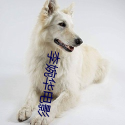 金年会 | 诚信至上金字招牌