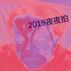 2019夜夜拍