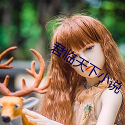 君临天下小说