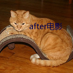 after电影