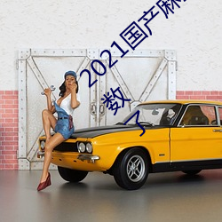 2021国产麻豆剧果冻传媒入口不限制出入次数了 （乱糟糟）