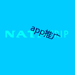 app推广 （难乎其难）