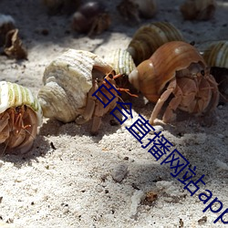 百合(hé)直播网站app下载地址(zhǐ)