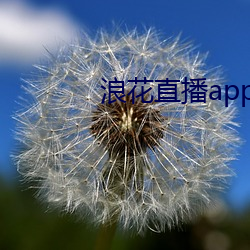 浪(浪)花(花)直(直)播(播)app入口