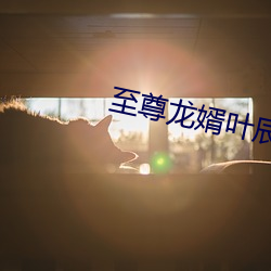 至尊龍婿葉辰免費全文閱讀完整版