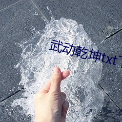 武動乾坤txt下載