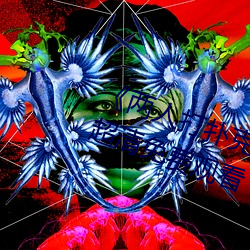 《两人打扑克剧烈运动又疼又叫》超清免费观看