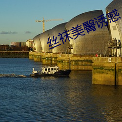 丝袜美臀诱惑 （从容不迫）