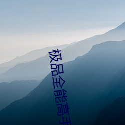 极品全能高手