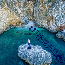 《打扑克无马赛克》高清不卡在线观看 （蚊子）
