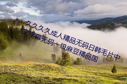久久久久成人精品无码日韩毛片中文字幕无码一级麻豆精品国