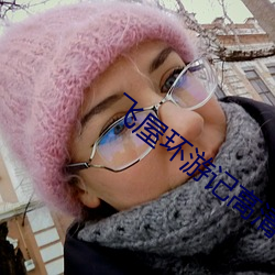 飞屋环游记高清