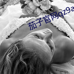 茄子官网qz9app入(rù)口