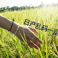 尊龙凯时-人生就是搏!