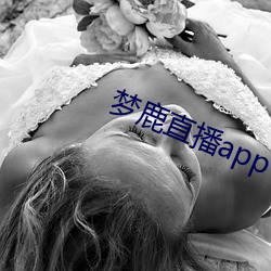 梦鹿直播app （混水摸鱼