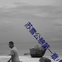 苏(sū)雪公憩第一章小(xiǎo)sao货水