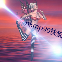 nkmp90快貓