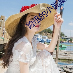鲁迅的(de)小说集