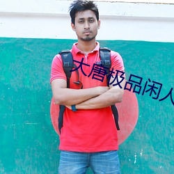 大唐极品闲人