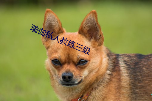 瑜伽私人教練三級